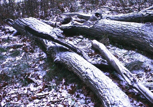 photo 0236.jpg